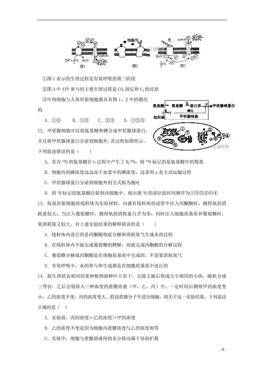 江西省赣州市2018届高三生物9月月考试题(无答案)_第3页