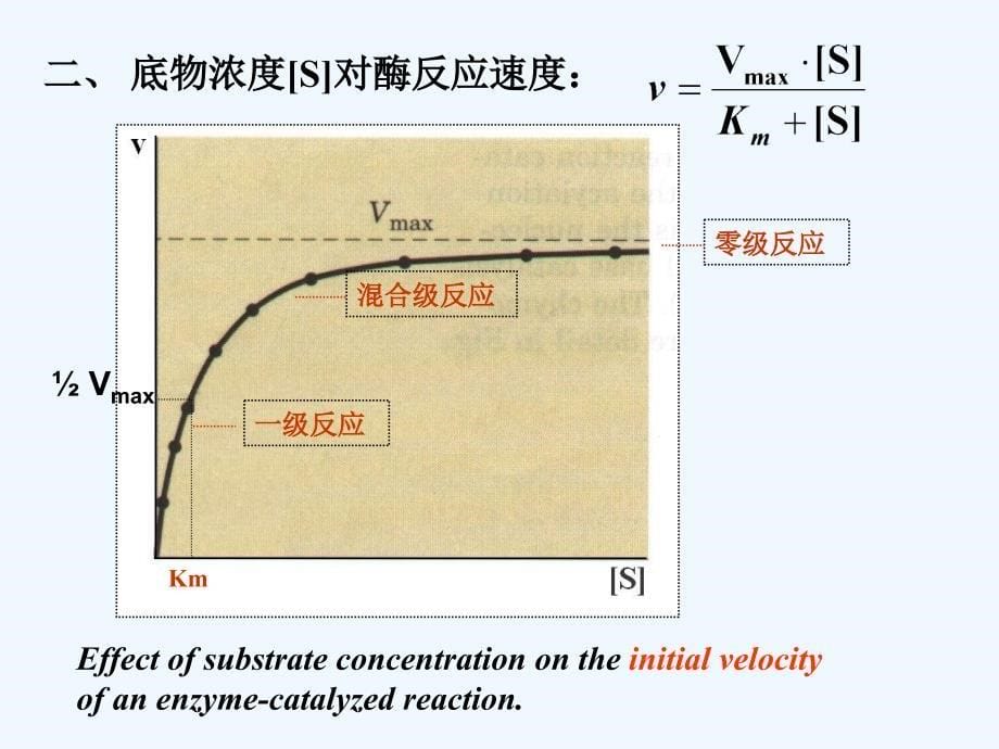 实验8酪氨酸酶动力学_第5页