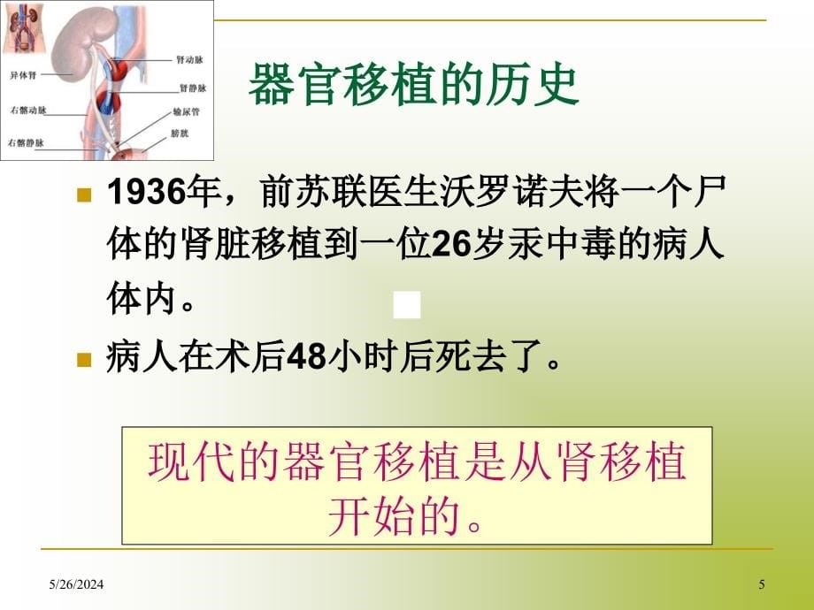 器官移植年学生_第5页