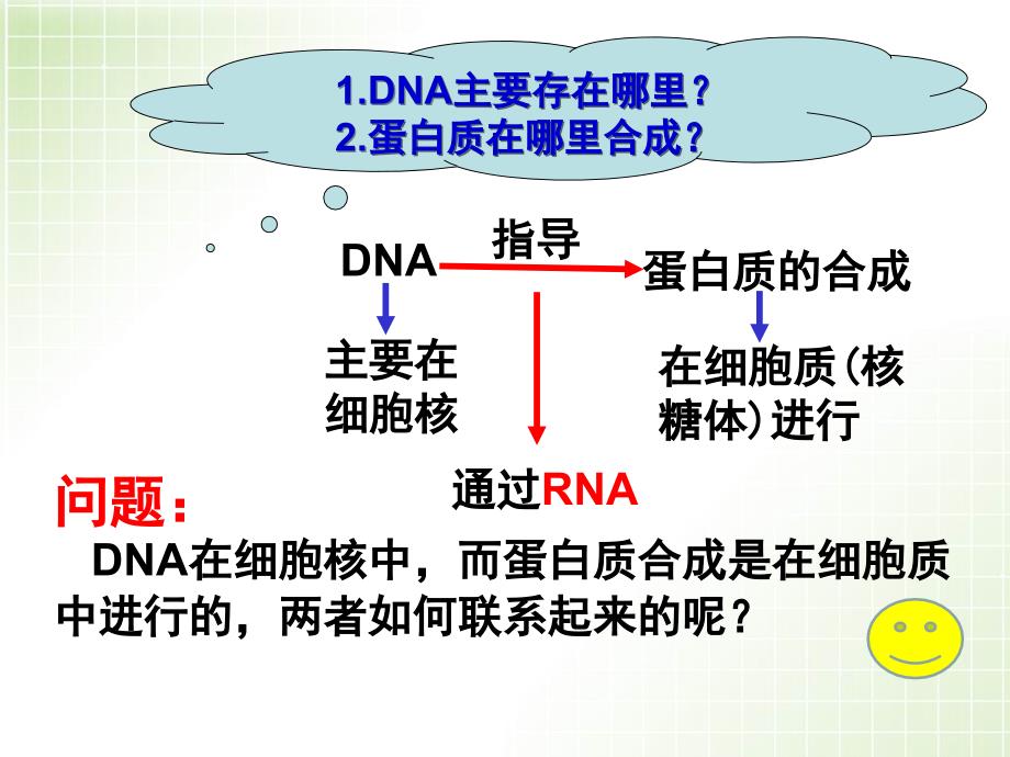 基因指导蛋白质的合成jk_第3页