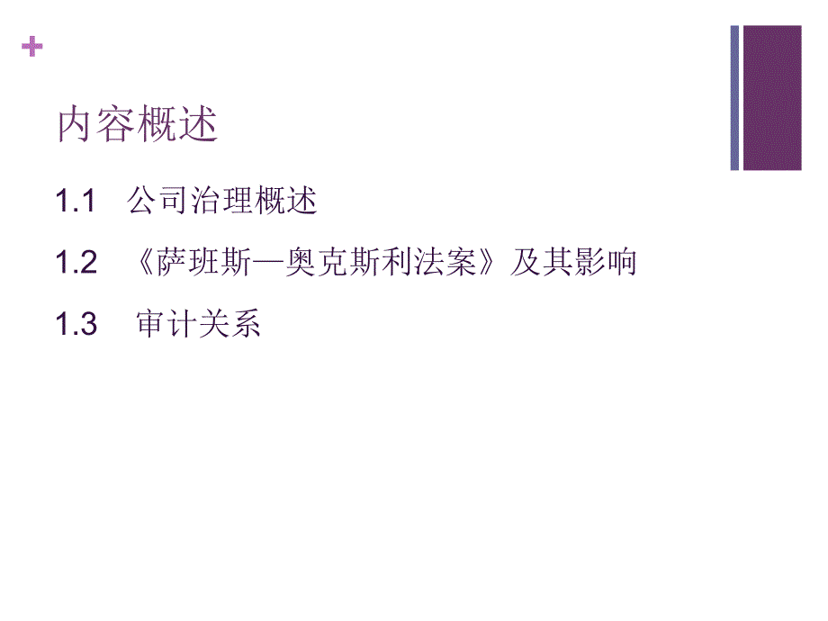 公司治理与内部审计讲解_第2页