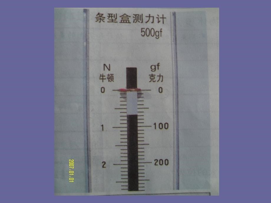 小学科学上册_第5页