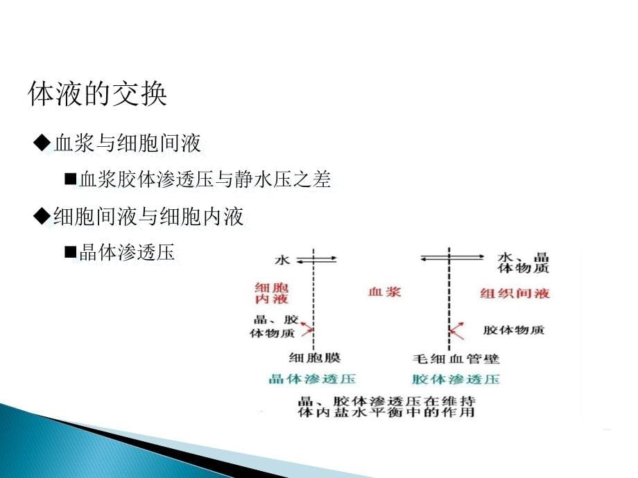 生物化学检验第九章_第5页