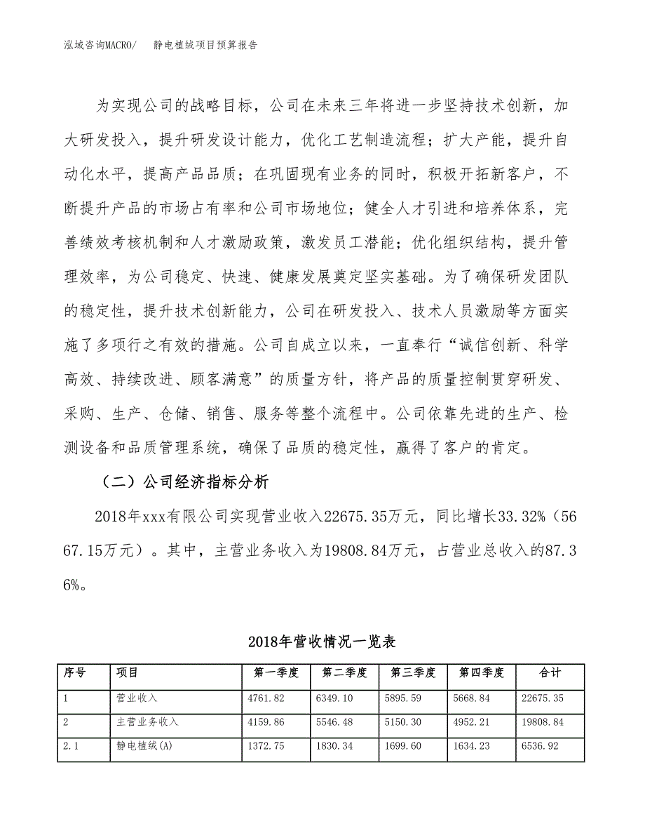 静电植绒项目预算报告年度.docx_第3页