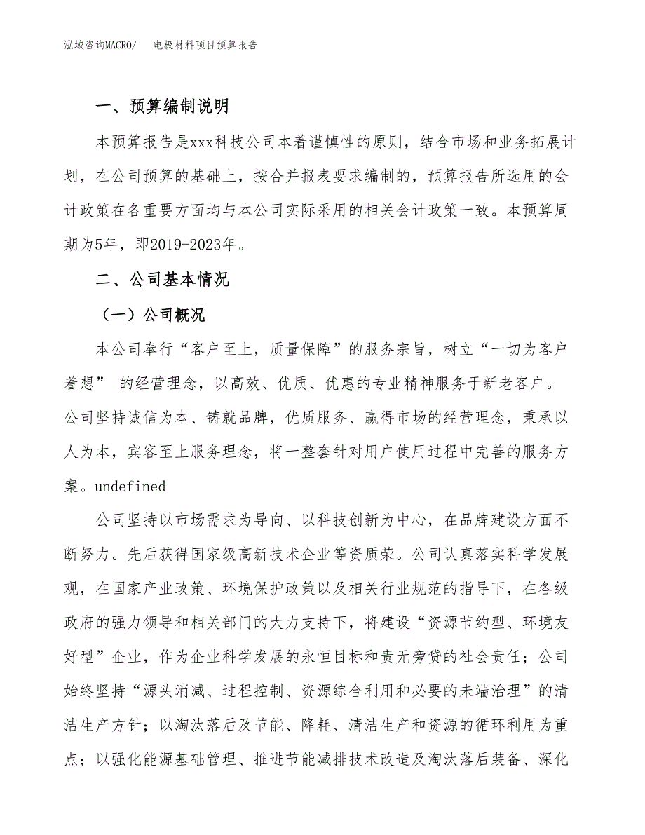 电极材料项目预算报告年度.docx_第2页