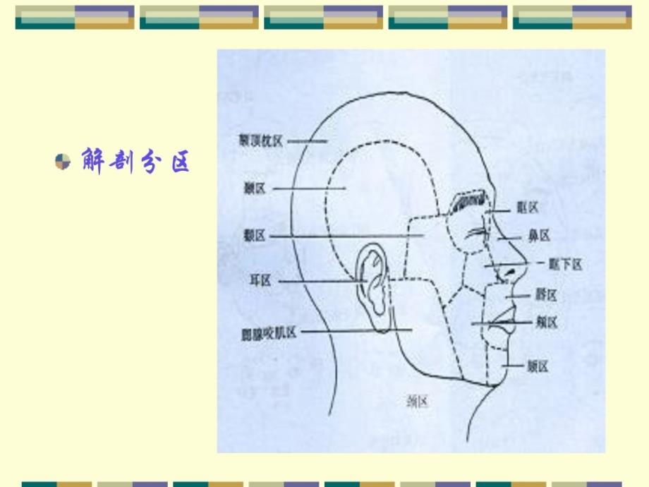 口腔科学 泛论_第3页