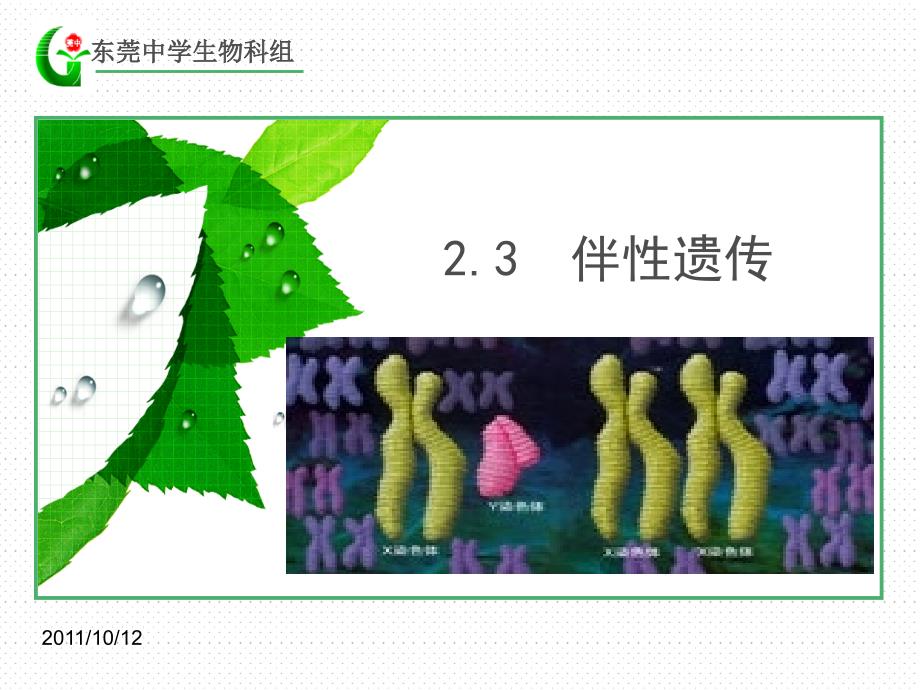 广东省东莞市东莞中学b2-2.3伴性遗传_第1页