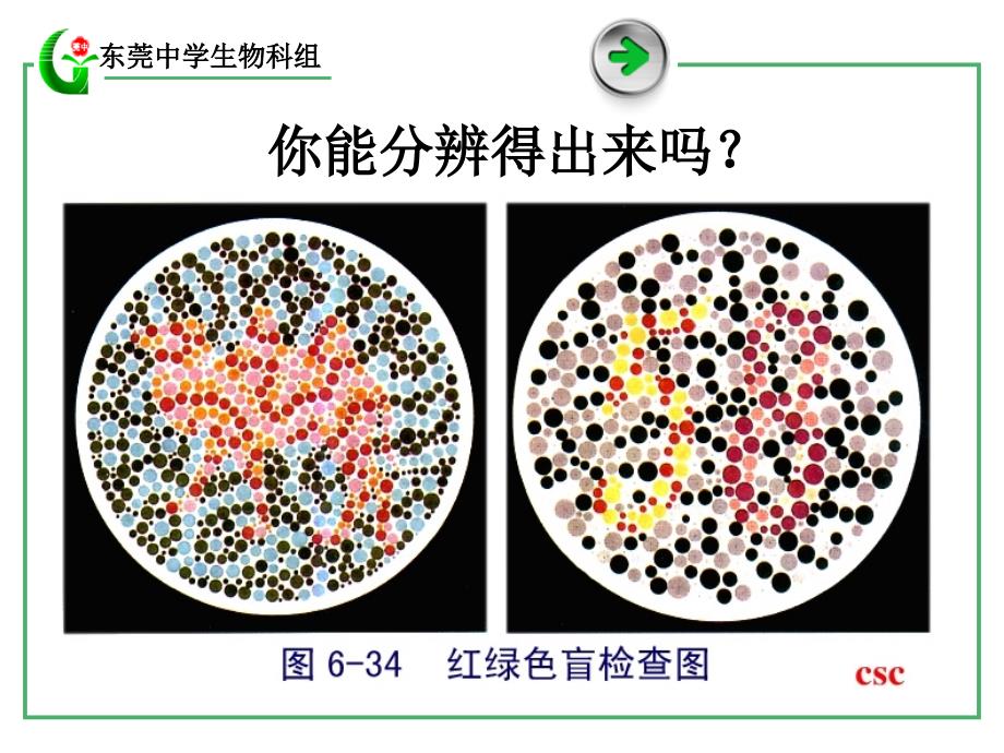 广东省东莞市东莞中学b2-2.3伴性遗传_第2页