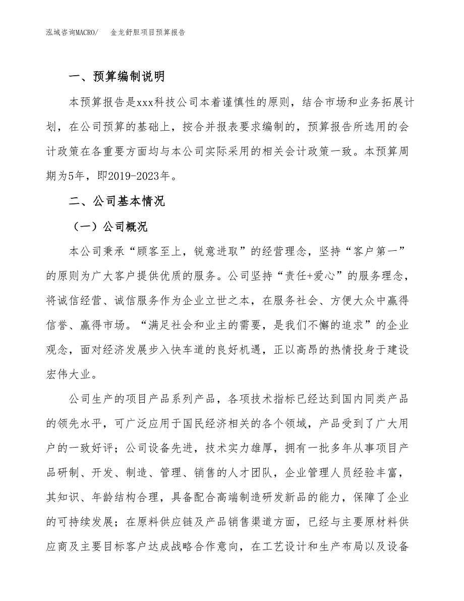 金龙舒胆项目预算报告年度.docx_第2页