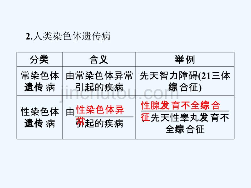 （江苏专用）高考生物总复习 第4章 遗传的分子基础 第5节 关注人类遗传病 苏教版必修2_第4页