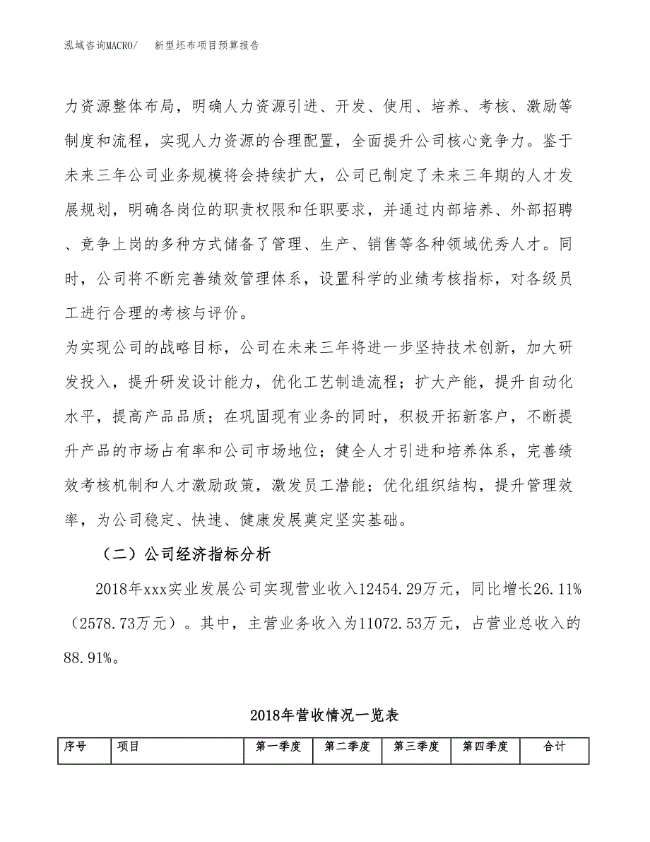 新型坯布项目预算报告年度.docx_第3页