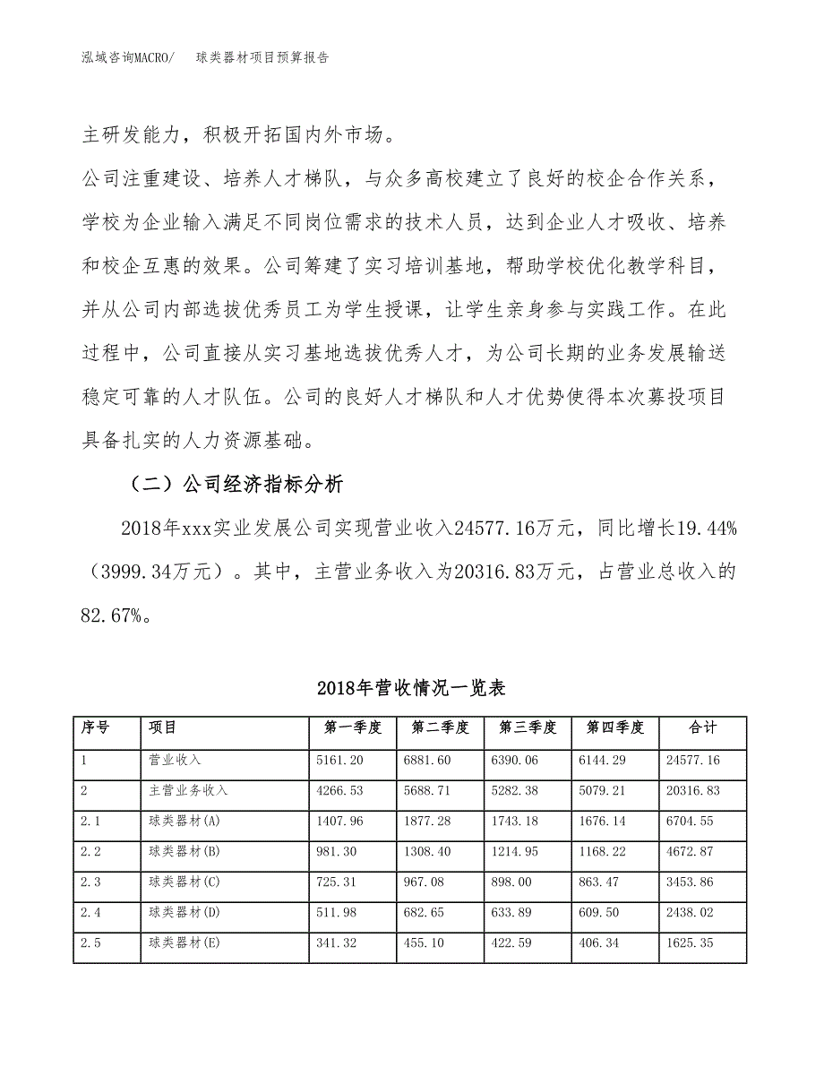 球类器材项目预算报告年度.docx_第3页