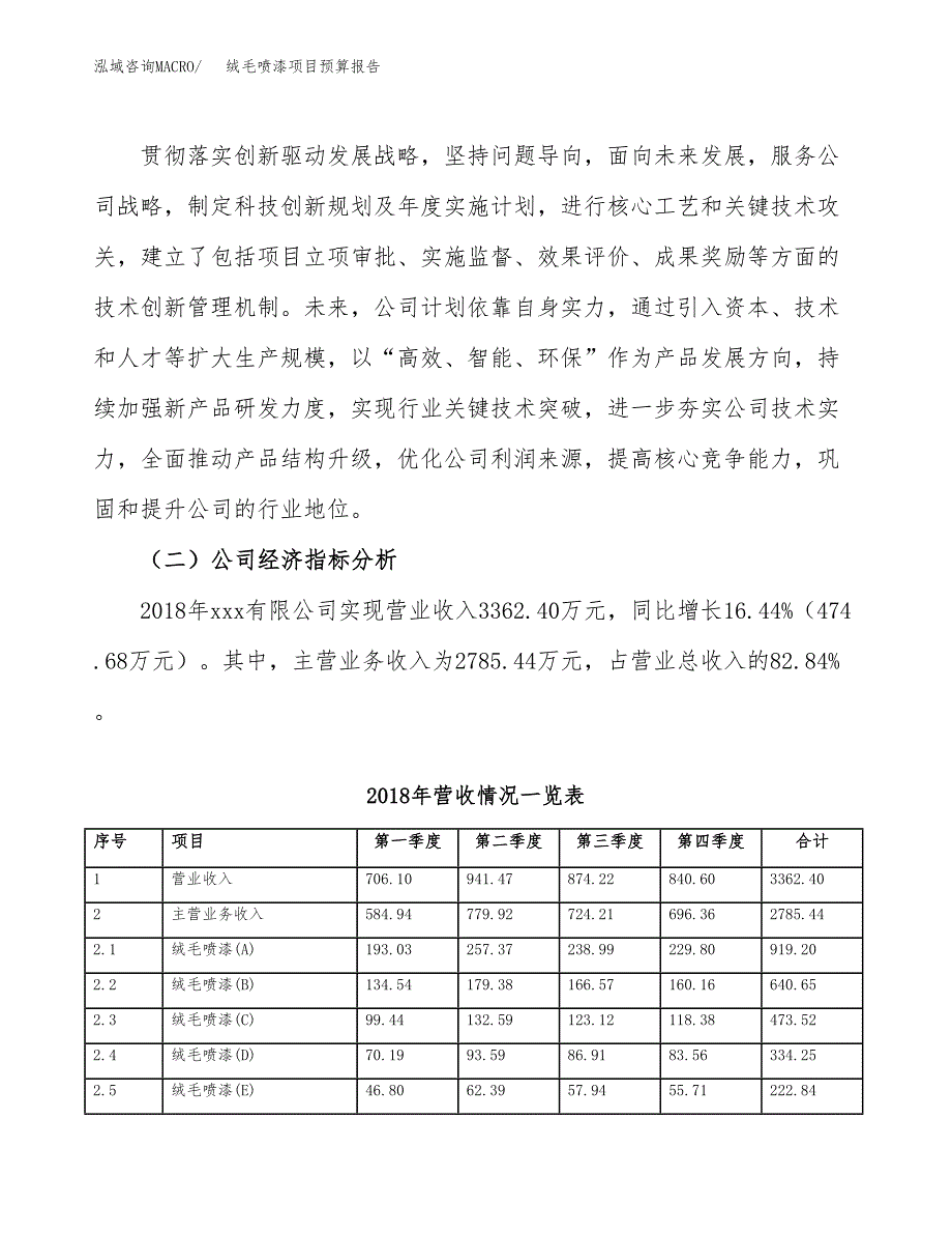 绒毛喷漆项目预算报告年度.docx_第3页