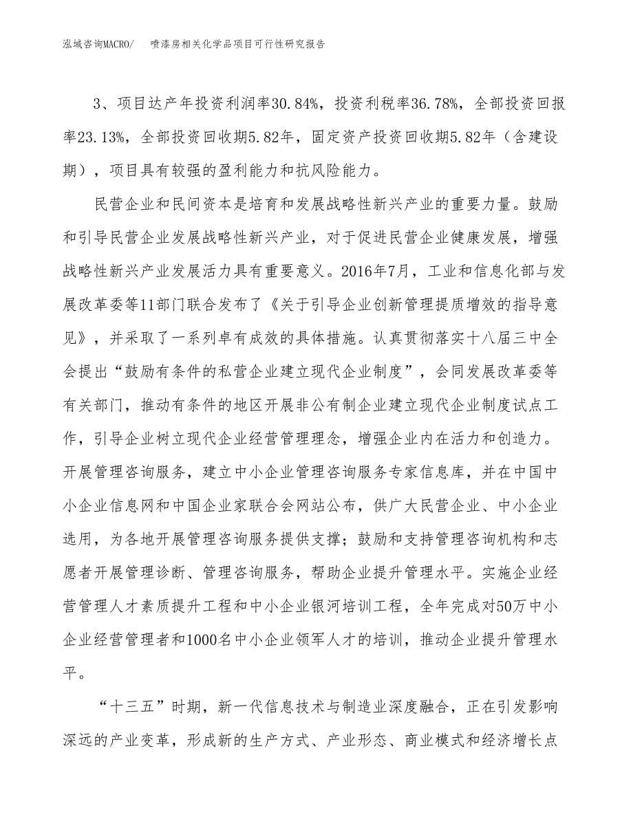 喷漆房相关化学品项目可行性研究报告（总投资20000万元）（88亩）_第5页