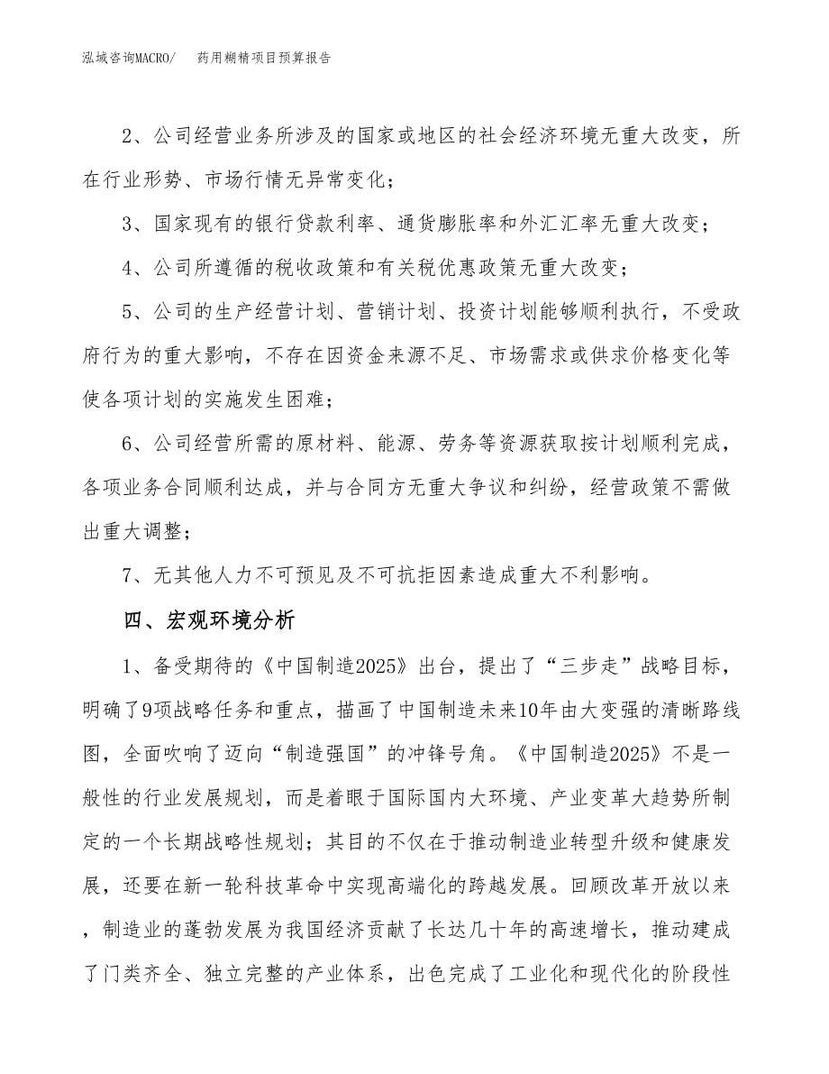 药用糊精项目预算报告年度.docx_第5页