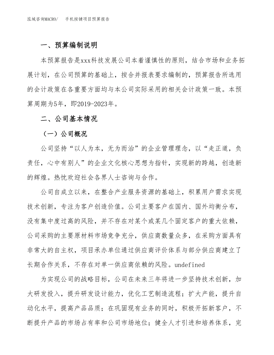 手机按键项目预算报告年度.docx_第2页