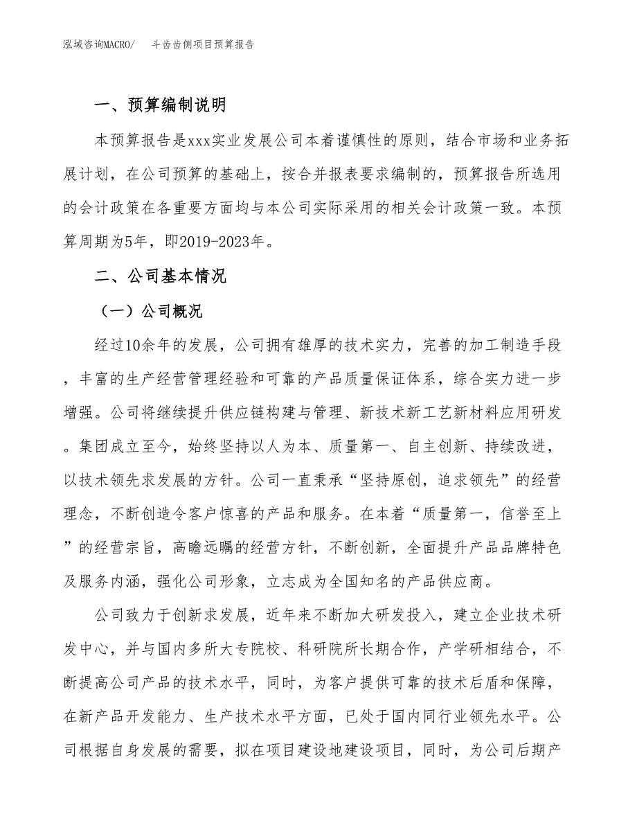 斗齿齿侧项目预算报告年度.docx_第2页