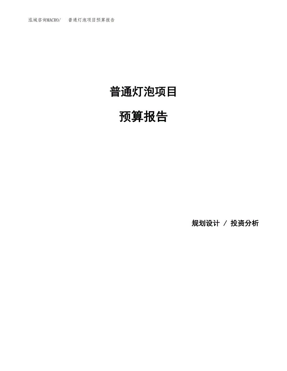 普通灯泡项目预算报告年度.docx_第1页