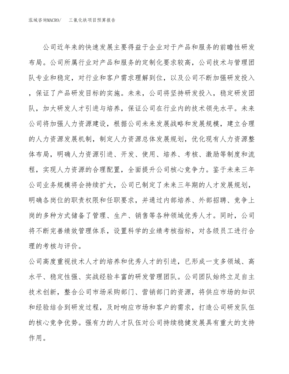 三氯化铁项目预算报告年度.docx_第3页