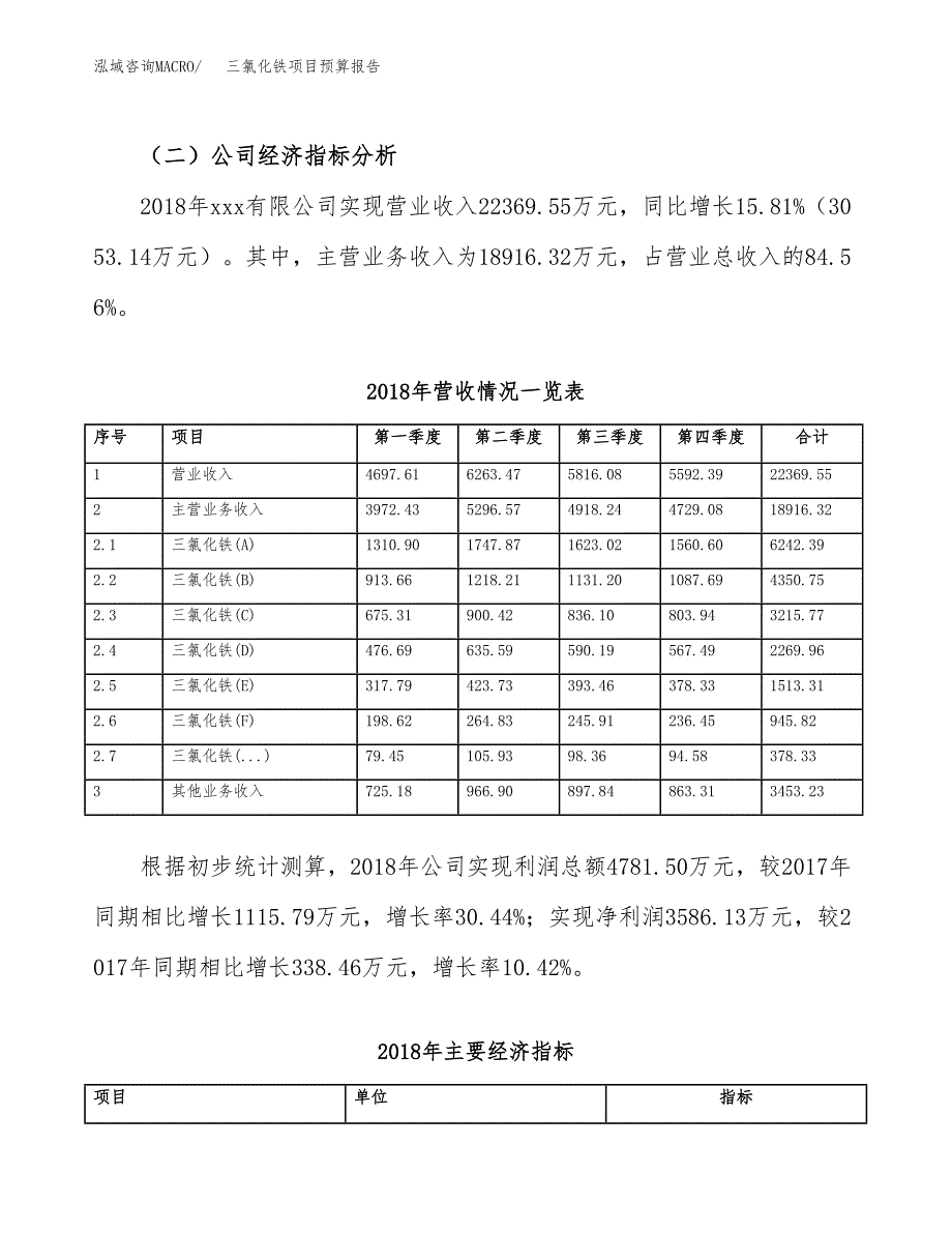 三氯化铁项目预算报告年度.docx_第4页