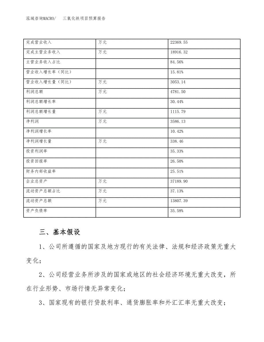 三氯化铁项目预算报告年度.docx_第5页