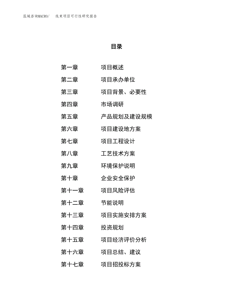 线束项目可行性研究报告（总投资12000万元）（41亩）_第1页