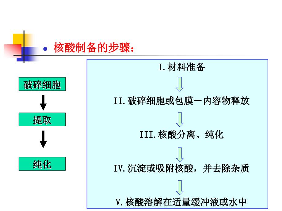 微生物基因组DNA提取资料_第4页