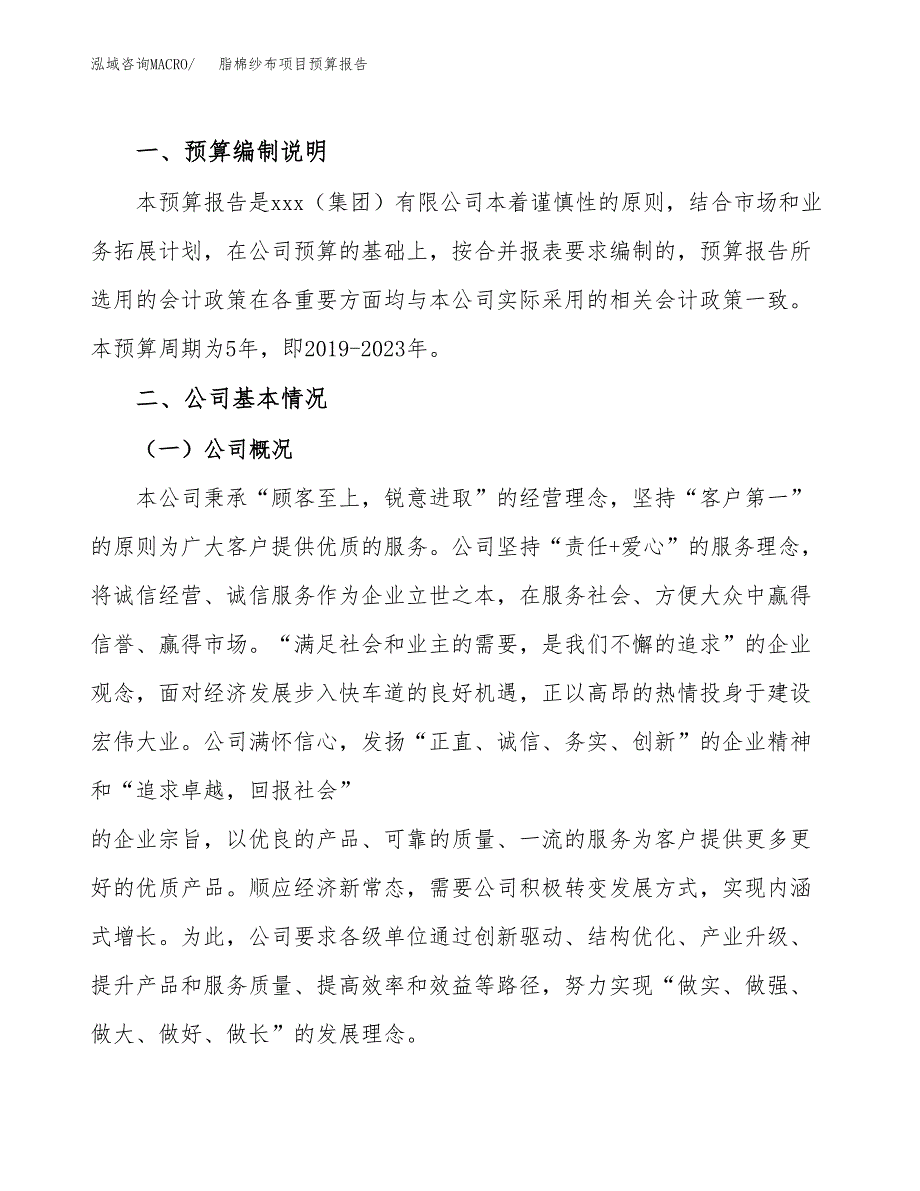 脂棉纱布项目预算报告年度.docx_第2页