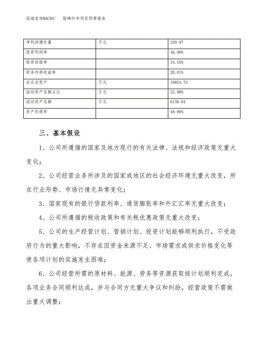 脂棉纱布项目预算报告年度.docx_第5页
