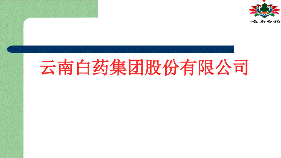 物流战略(云南白药)讲解_第1页