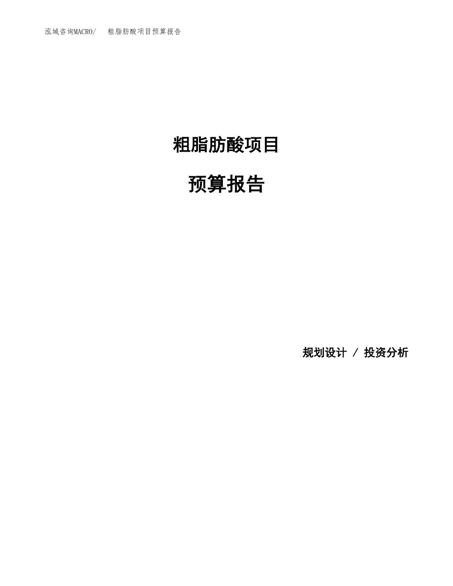 粗脂肪酸项目预算报告年度.docx_第1页