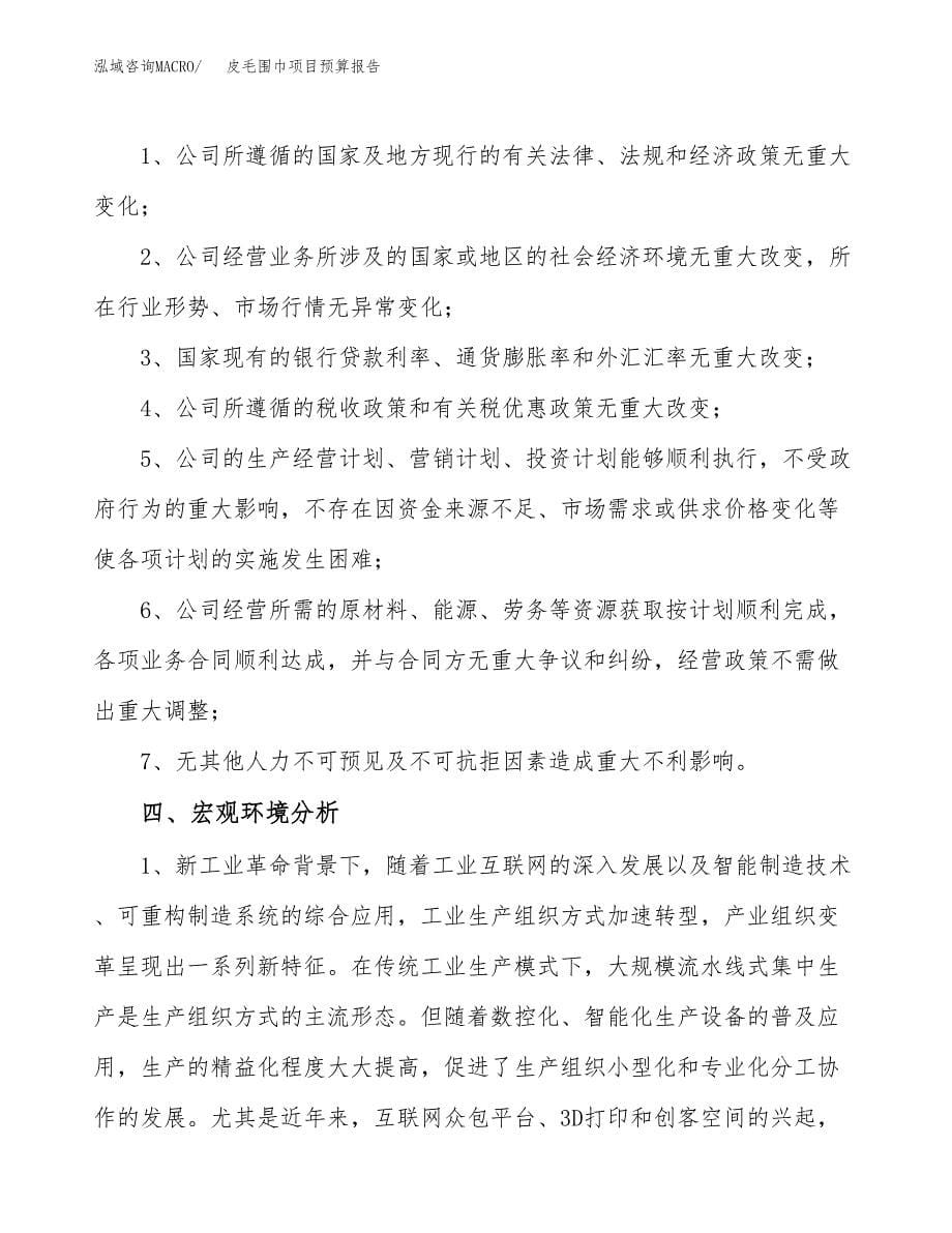 皮毛围巾项目预算报告年度.docx_第5页