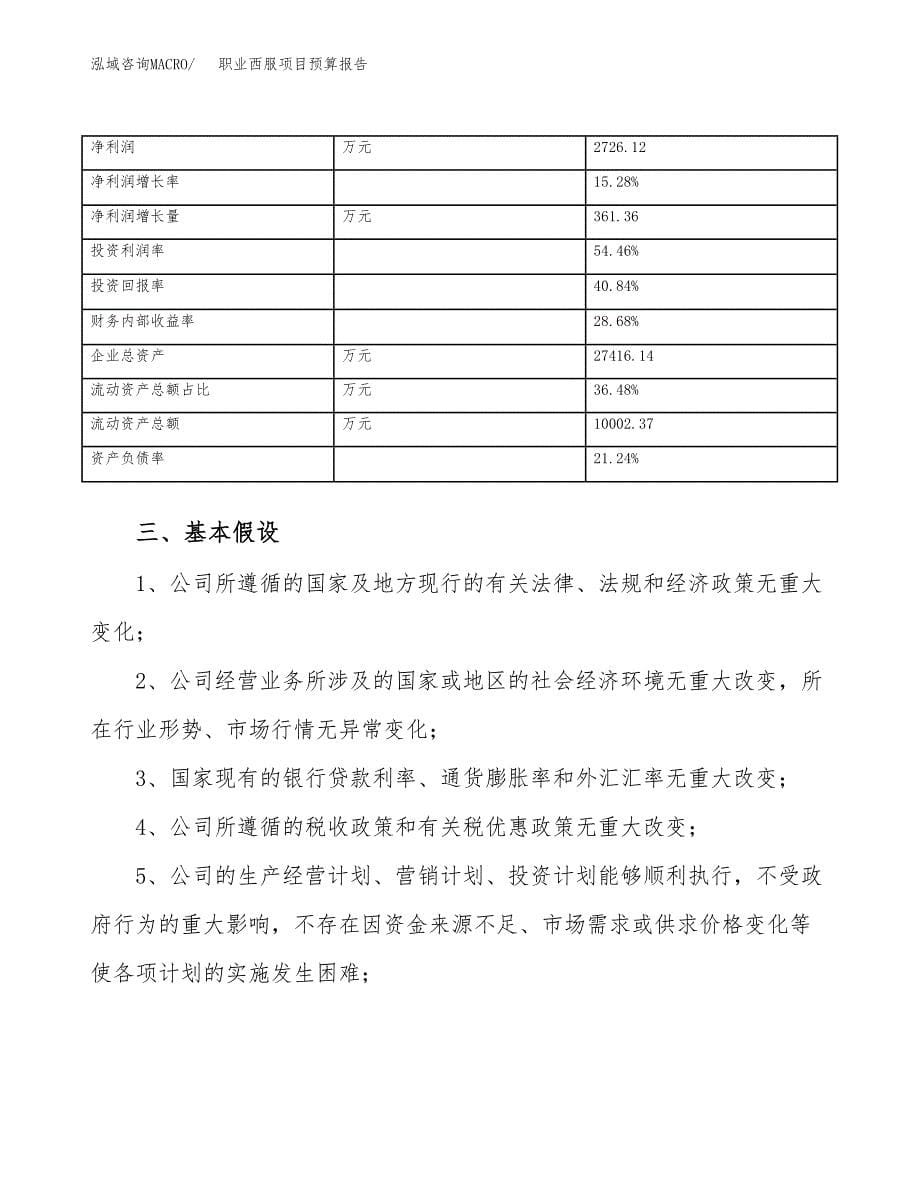 职业西服项目预算报告年度.docx_第5页