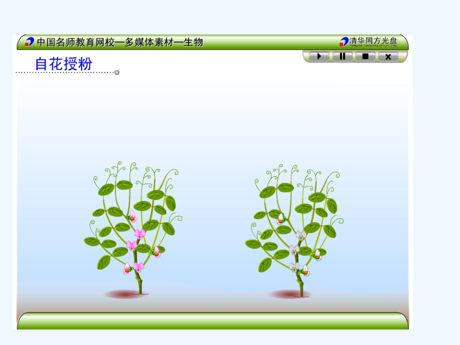 江苏徐州高中生物3.2基因的分离定律苏教必修2_第3页