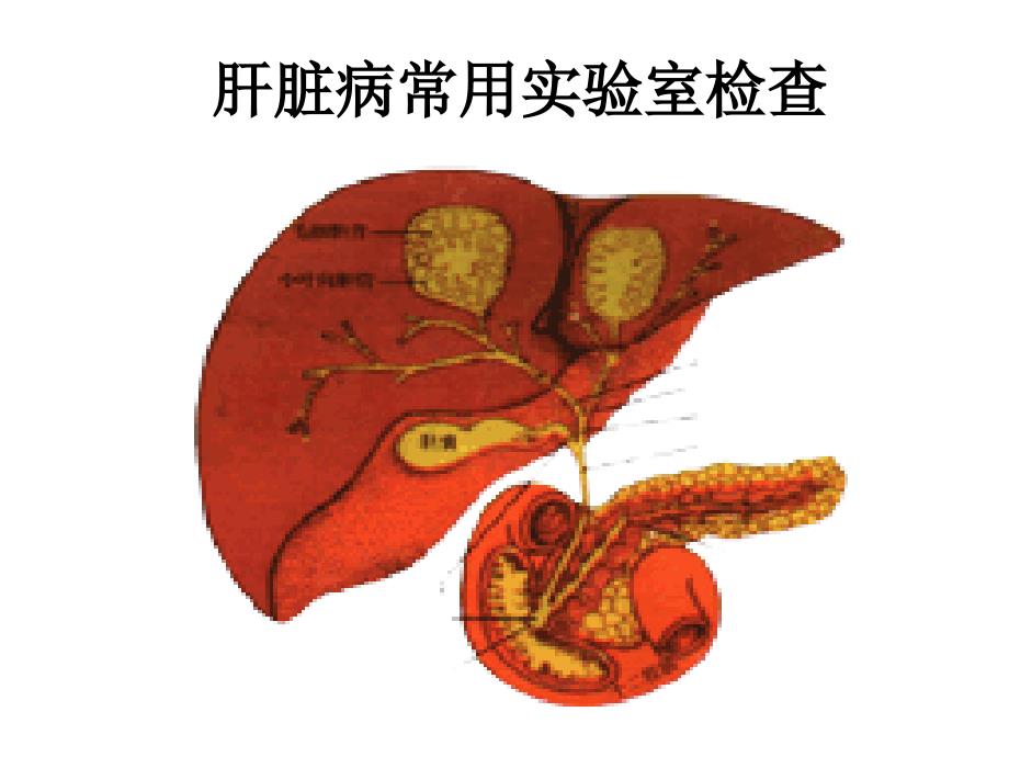 肝病实验室检查及止凝血功能检查讲诉_第3页