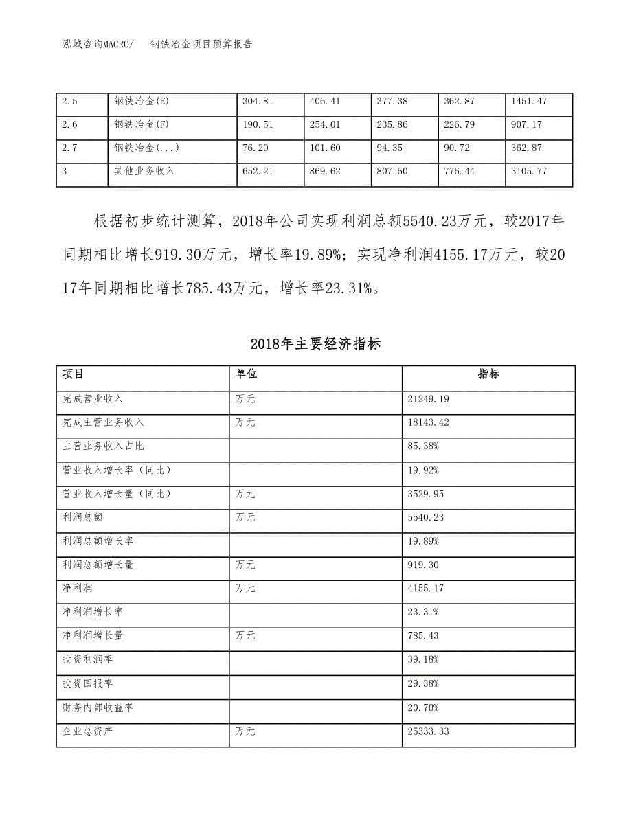 钢铁冶金项目预算报告年度.docx_第5页