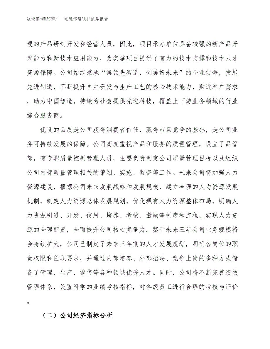 电缆铝箔项目预算报告年度.docx_第3页