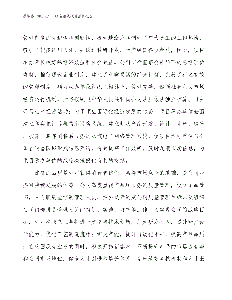 铜包铜线项目预算报告年度.docx_第3页