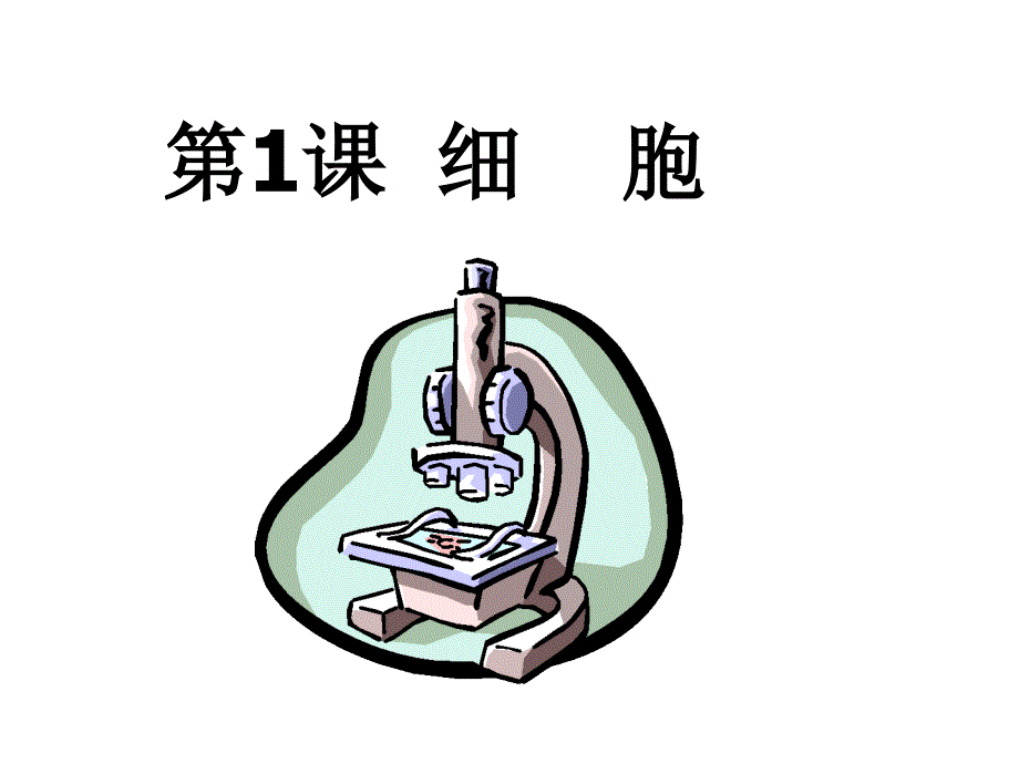 九年级生物细胞总复习_第1页