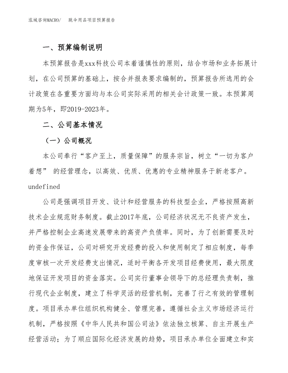 跳伞用品项目预算报告年度.docx_第2页