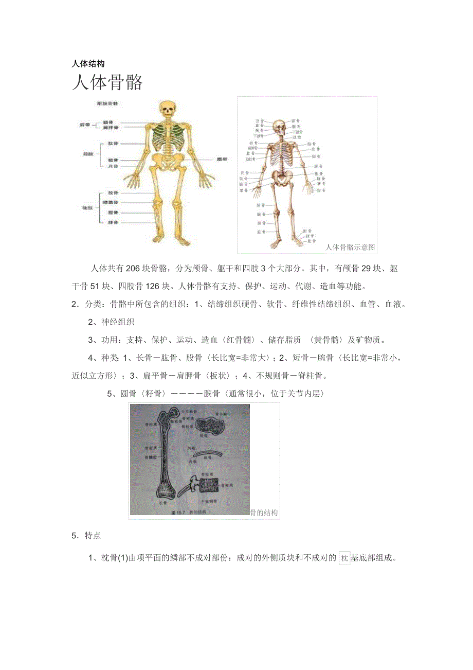 人体结构及图像质量剖析_第1页