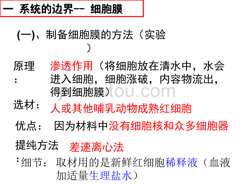 复习课件第三章细胞的基本结构._第5页