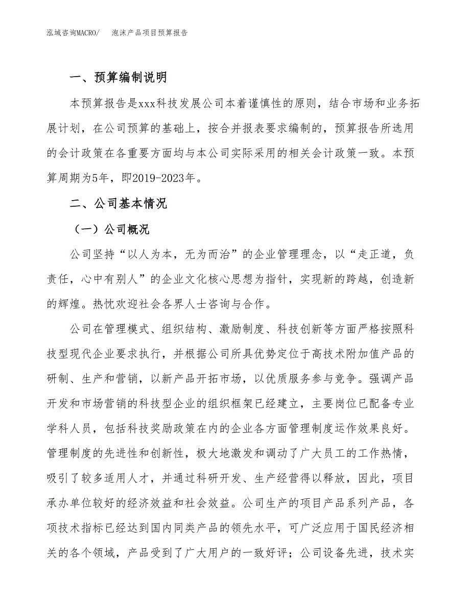 泡沫产品项目预算报告年度.docx_第2页