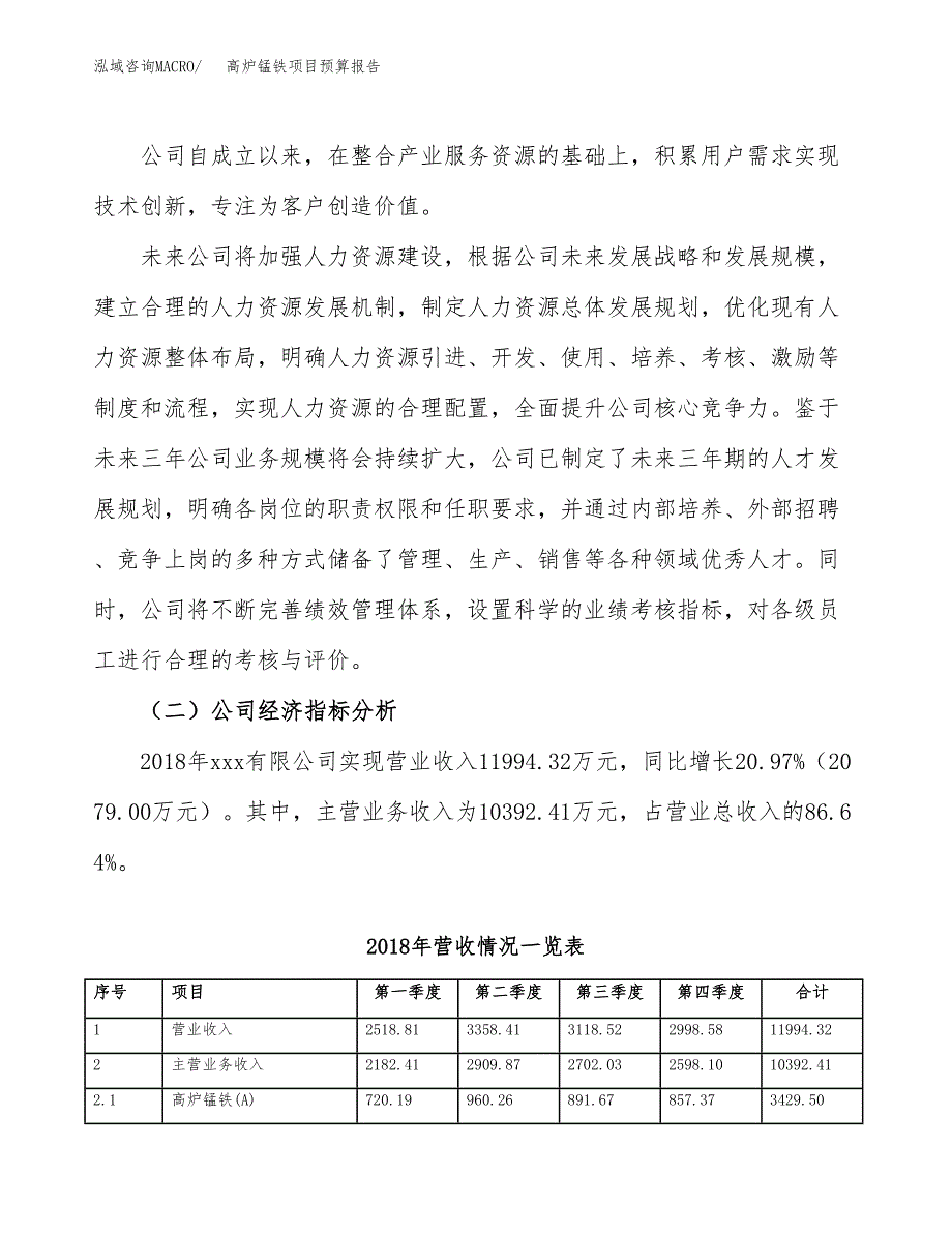 高炉锰铁项目预算报告年度.docx_第3页