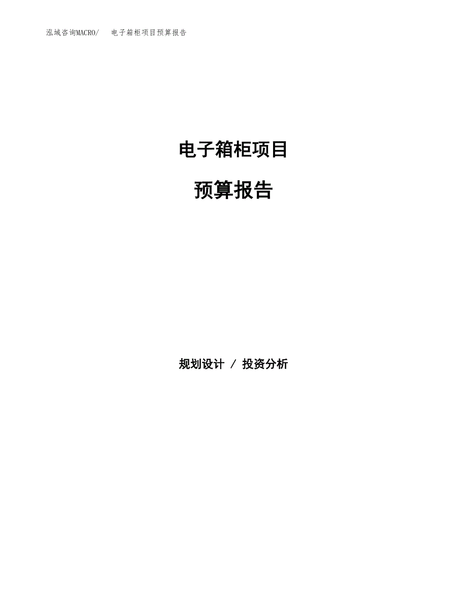 电子箱柜项目预算报告年度.docx_第1页