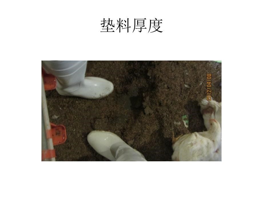 肉鸡养殖通风管理讲解_第5页