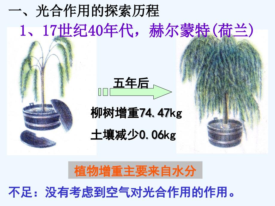 江苏淮安高中生物5.4光合作用的原理和应用（必修1）_第2页