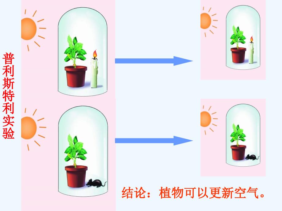 江苏淮安高中生物5.4光合作用的原理和应用（必修1）_第4页