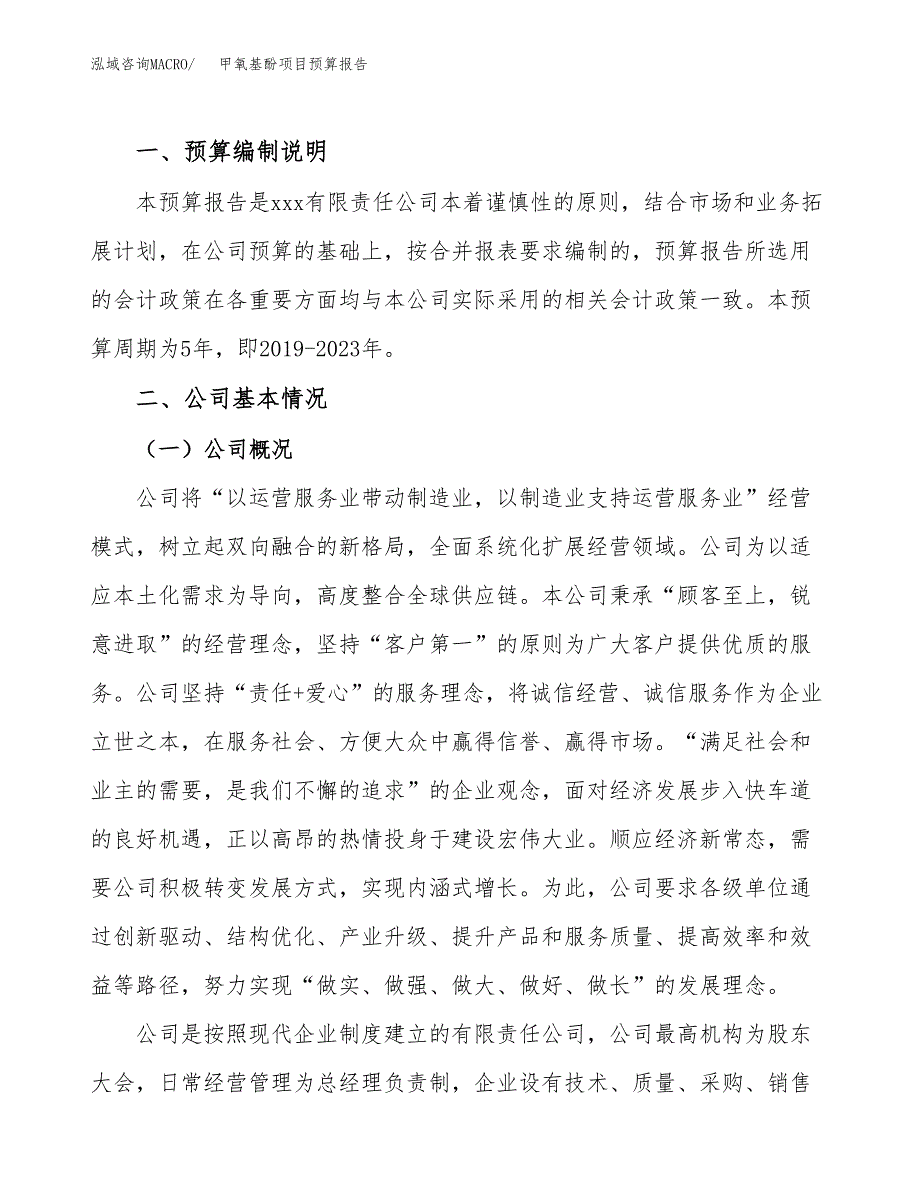 甲氧基酚项目预算报告年度.docx_第2页