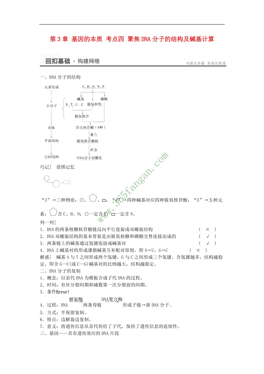 重庆市分水镇高三生物 第3章 基因的本质 考点四 聚焦DNA分子的结构及碱基计算复习 新人教版必修2_第1页